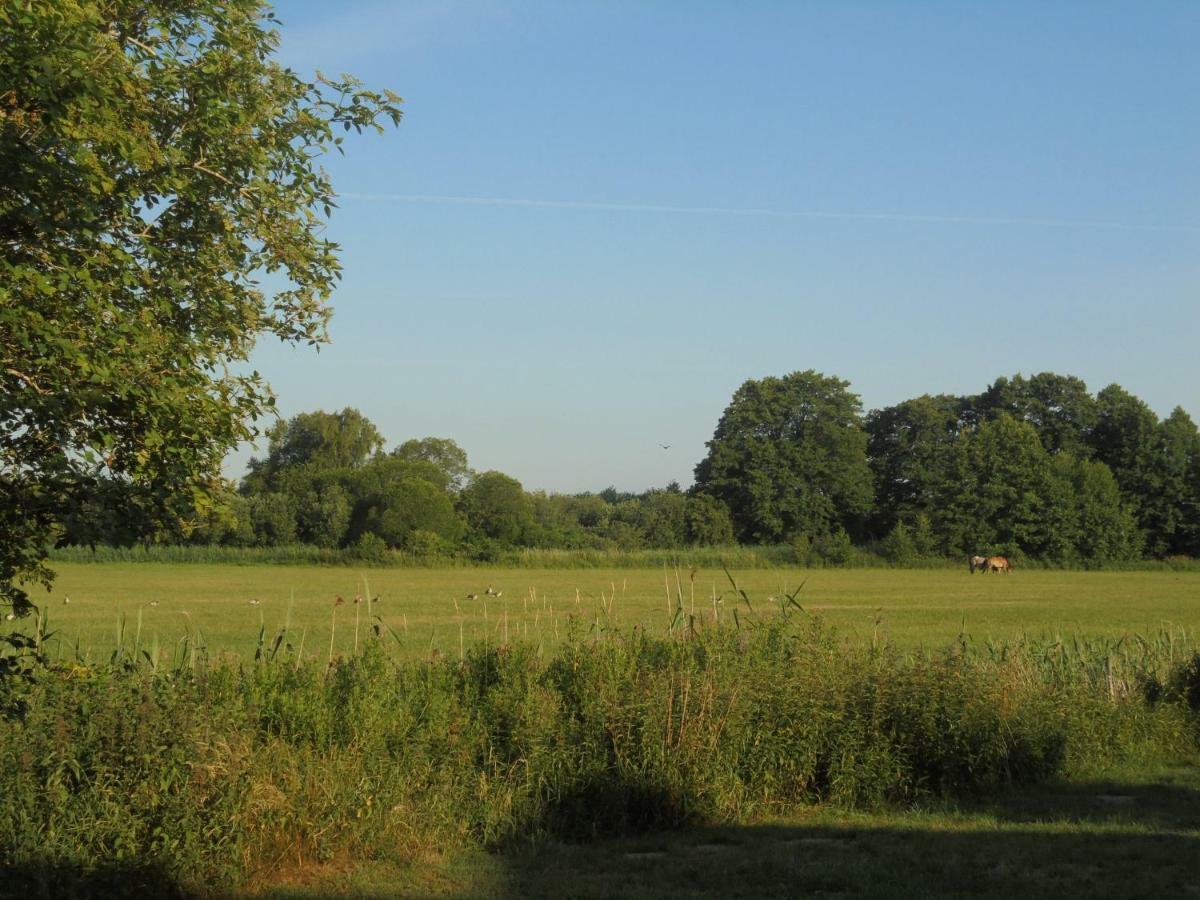 Landhaus Fischersruh Plauer See Alt Schwerin Zewnętrze zdjęcie